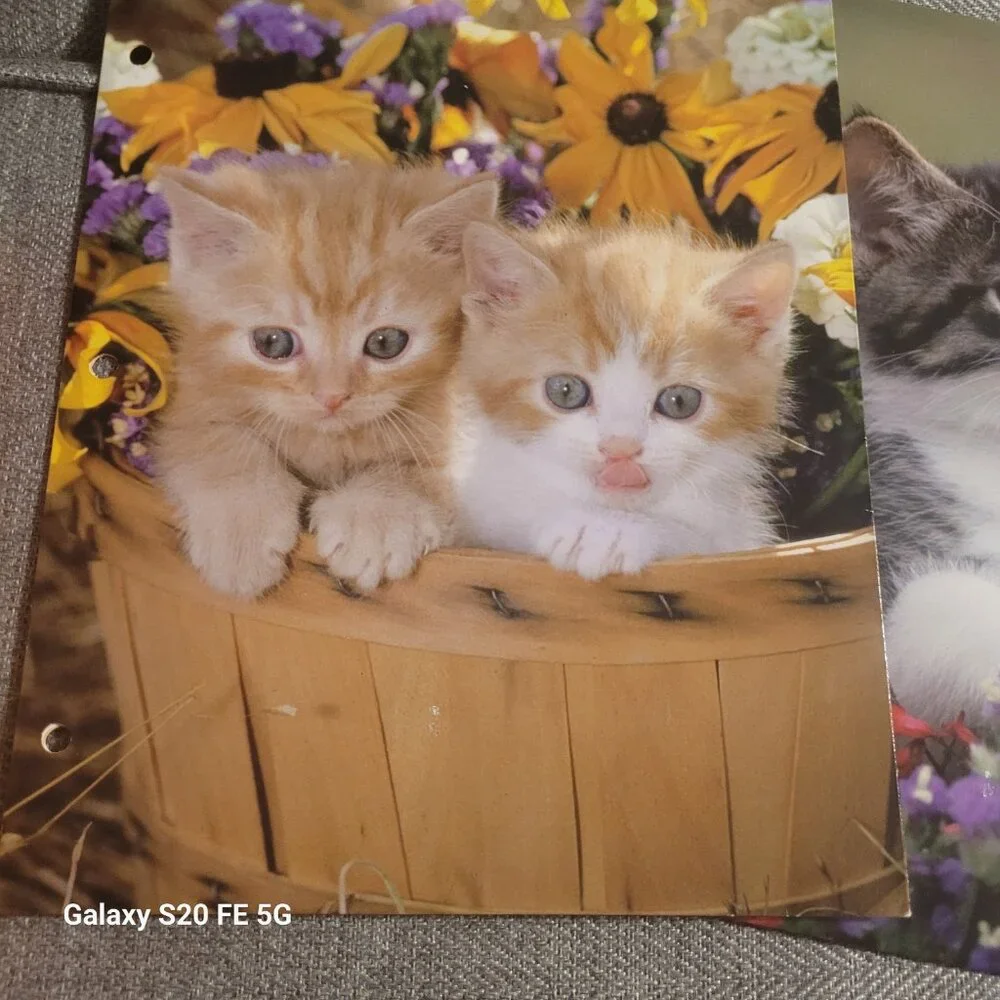 Cats & Company two vintage